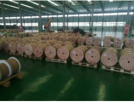 雙玻璃絲包線有哪些特征？